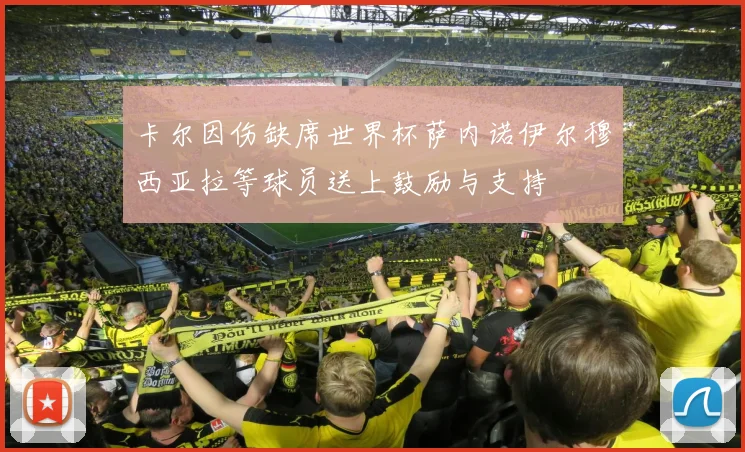 卡尔因伤缺席世界杯萨内诺伊尔穆西亚拉等球员送上鼓励与支持