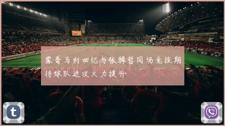 蒙哥马利回忆与张稀哲同场竞技期待球队进攻火力提升